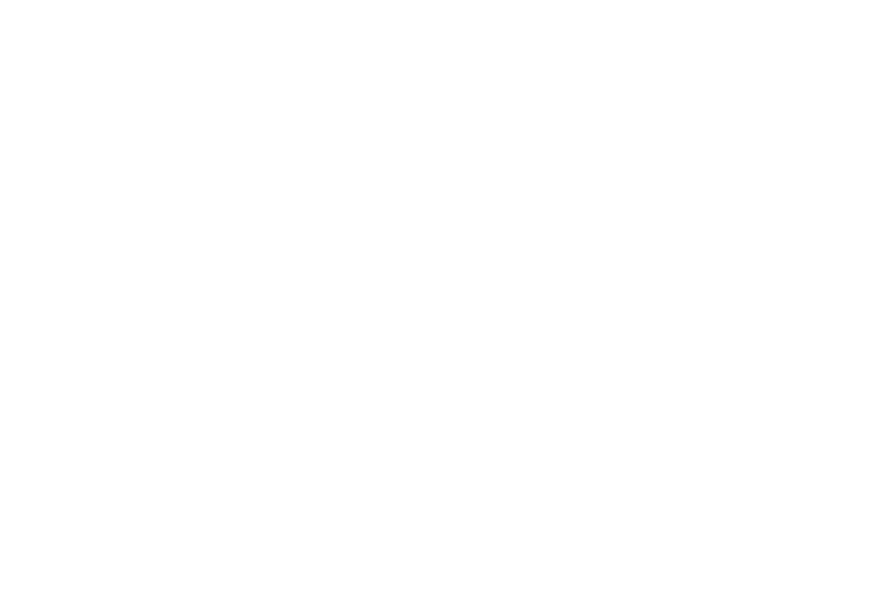 LGJ